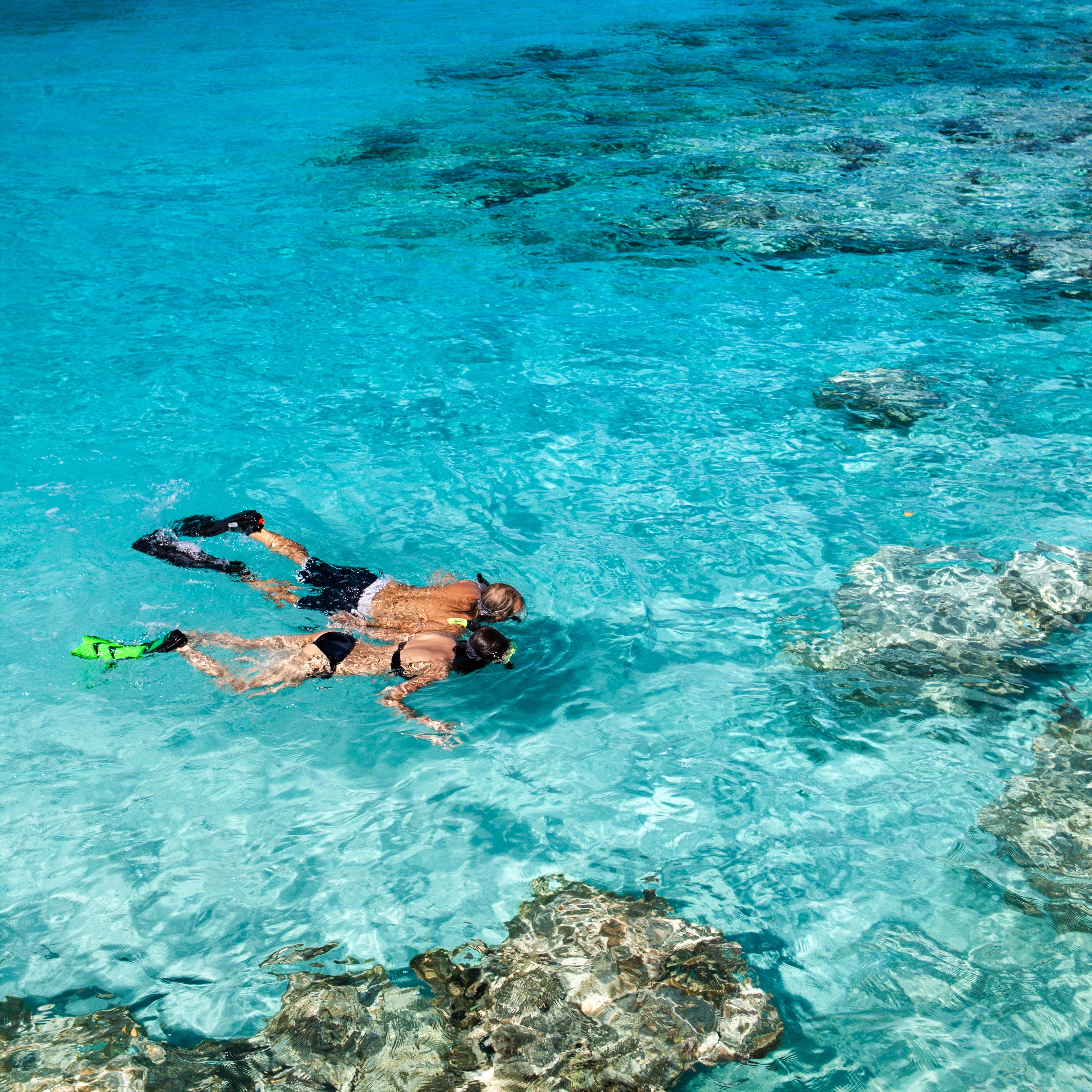 Plongée dans une eau turquoise